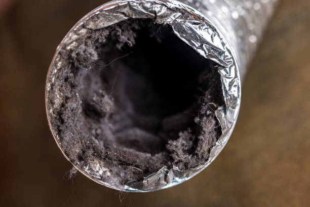 Best Home Air Vent Cleaning  in Shiloh, PA